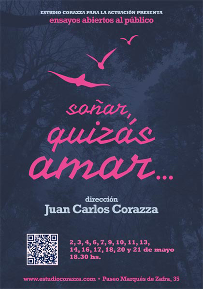 Cartel Soñar, quizás amar…